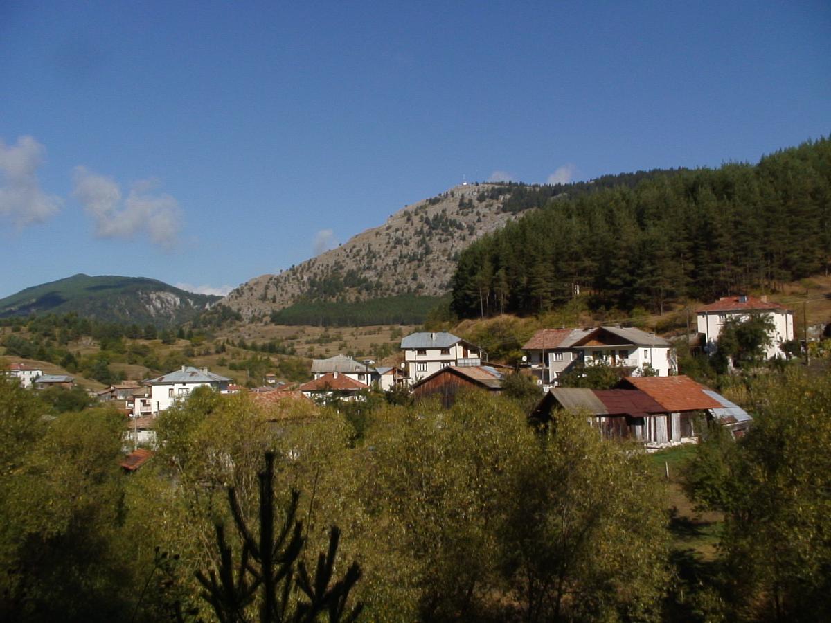 Yagodina Family Hotel Экстерьер фото