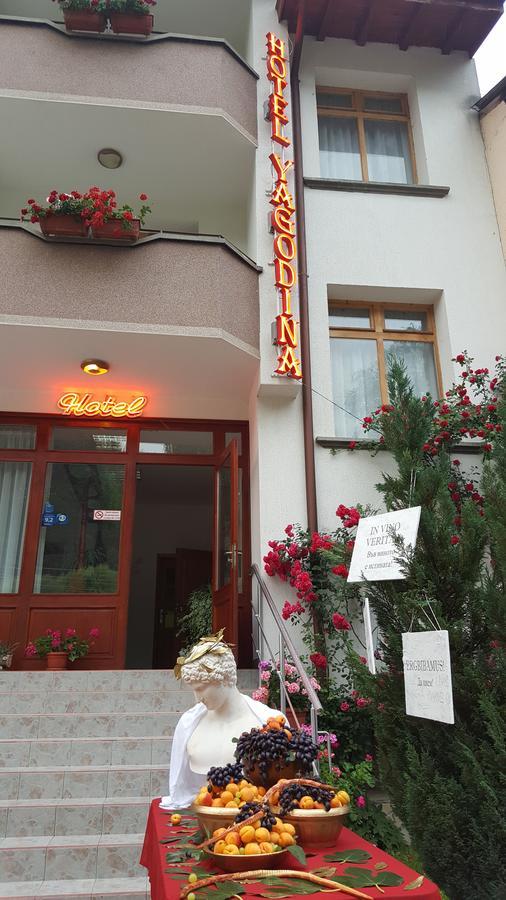 Yagodina Family Hotel Экстерьер фото